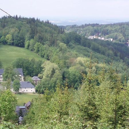 Pension Hotel Sartor Altenberg  Esterno foto