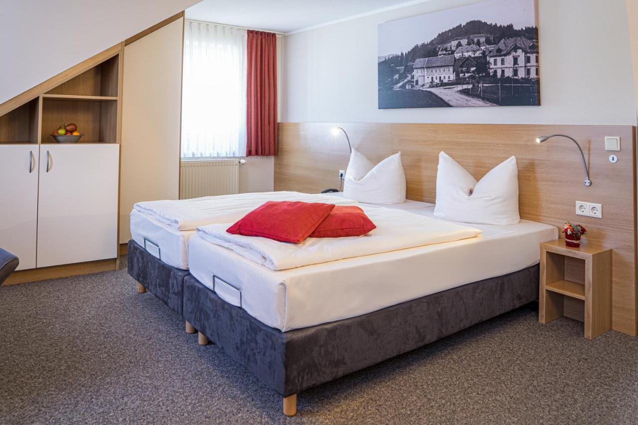 Pension Hotel Sartor Altenberg  Esterno foto