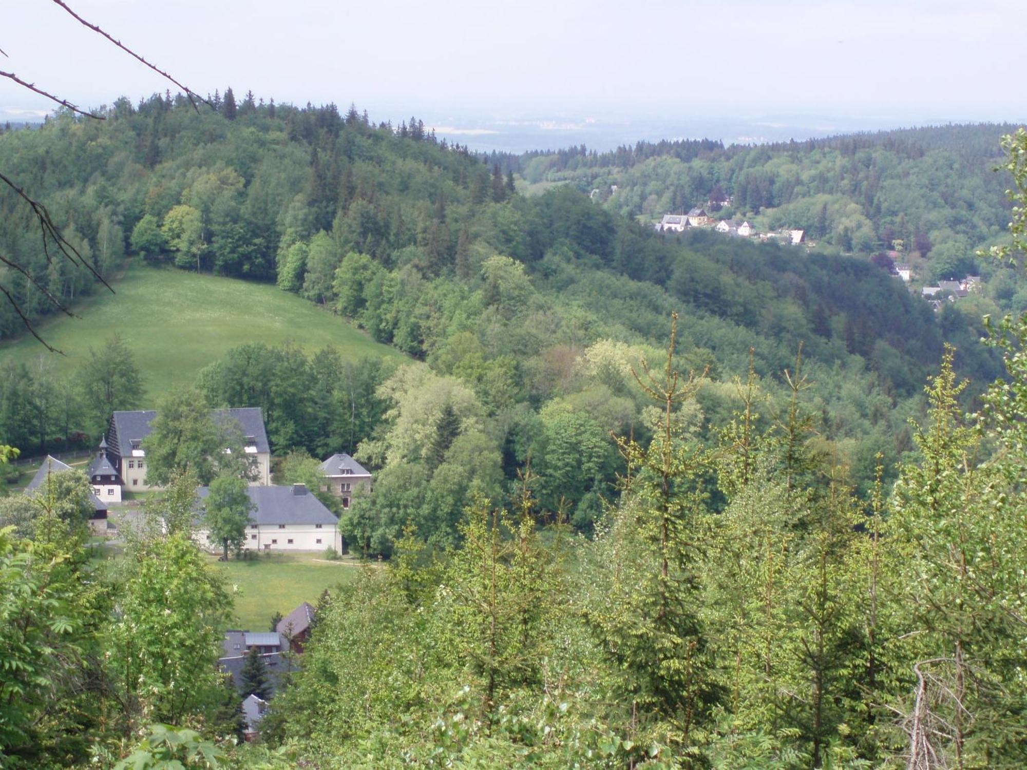 Pension Hotel Sartor Altenberg  Esterno foto