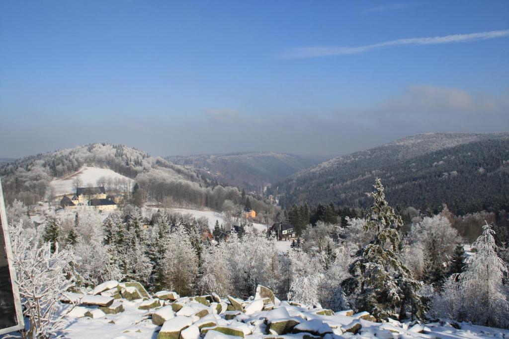Pension Hotel Sartor Altenberg  Esterno foto
