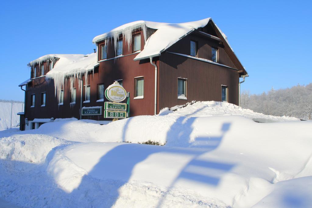Pension Hotel Sartor Altenberg  Esterno foto